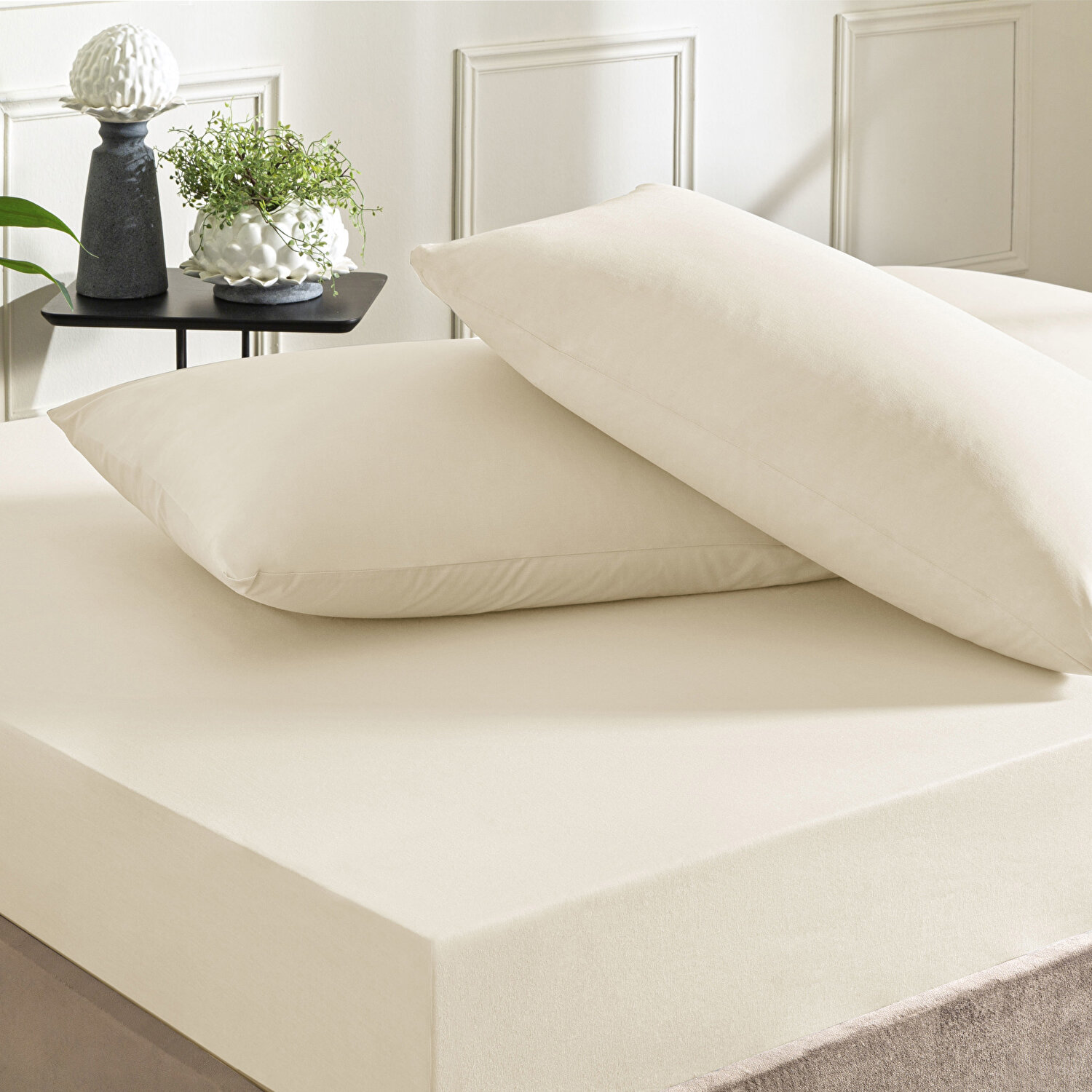 Taç Color Dreams Ranforce Çift Kişilik Çarşaf Seti Ekru