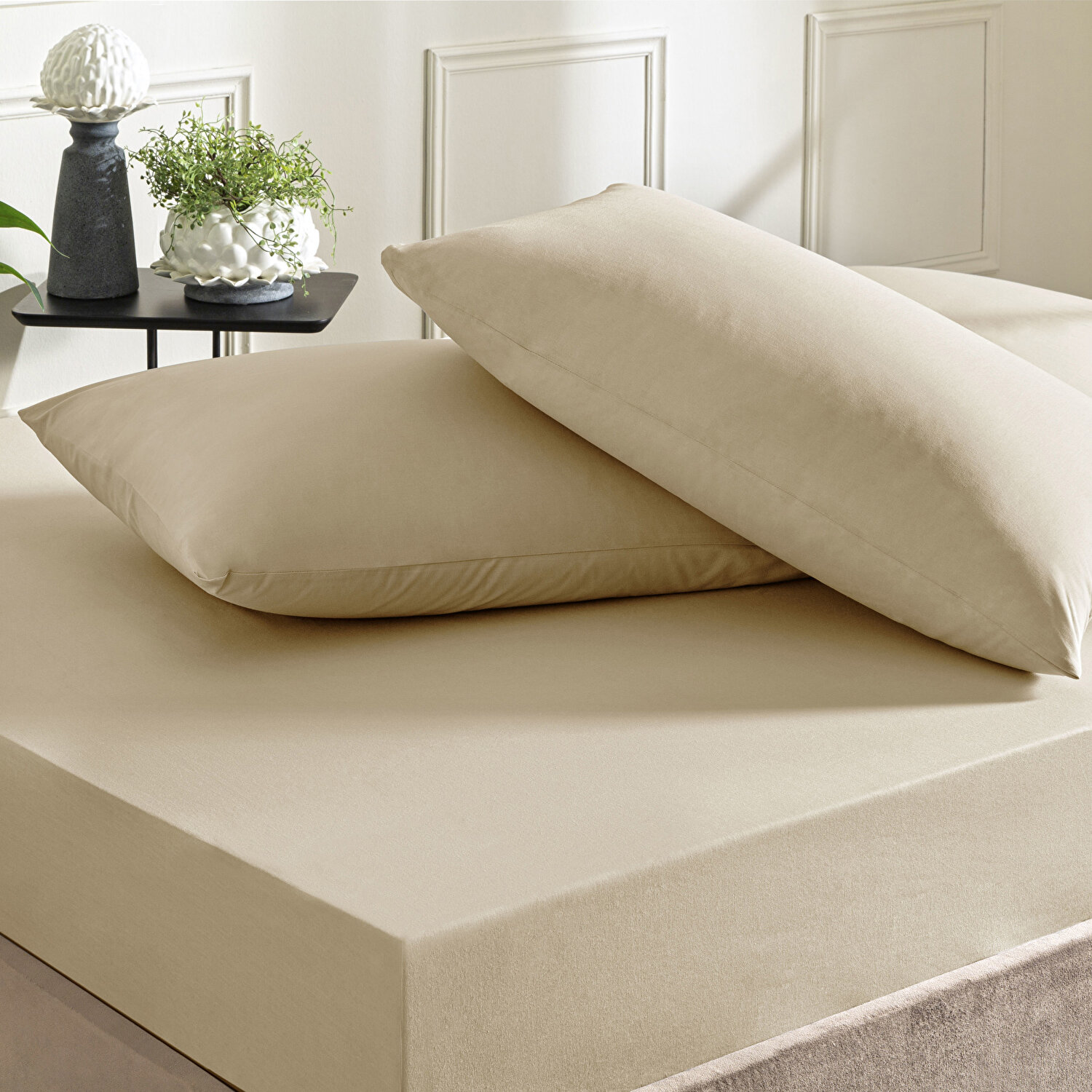 Taç Color Dreams Ranforce Çift Kişilik Çarşaf Seti Vizon