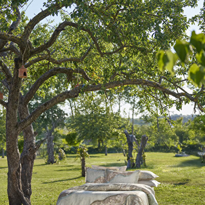 Taç Reborn Rima Bambu Çift Kişilik Nevresim Takımı Taş