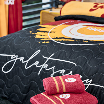 Taç Lisanslı Galatasaray Aslan Complete Set